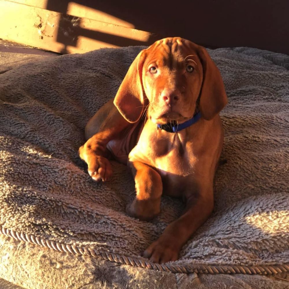 Meet your Posher, Brandie